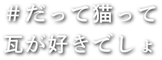 だって猫って瓦が好きでしょ